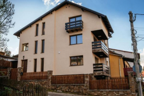 Гостиница Serban Cottage  Ватра Дорней